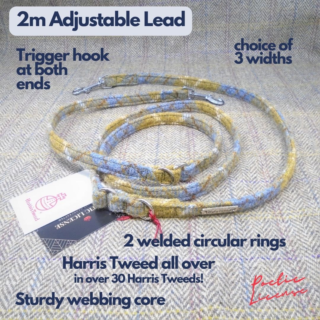 Adjustable Lead, Crossbody Lead or Over the Shoulder Dog Leash. Harris Tweed.