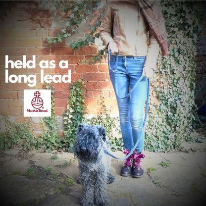 Adjustable Lead, Crossbody Lead or Over the Shoulder Dog Leash. Harris Tweed.