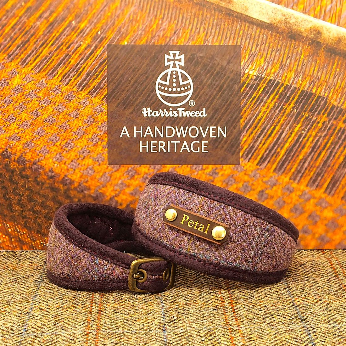 harris tweed purple plum dog collar sighthound whippet greyhound lurcher with dogs name on