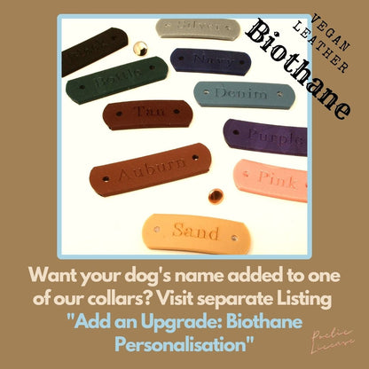 biothane personalisation for dogs name on collar, vegan leather