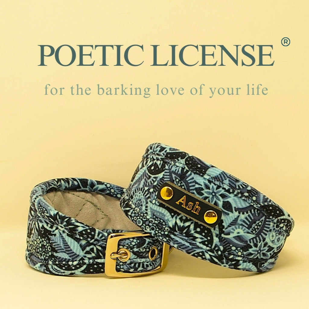 vegan chenille dog collar hypoallergenic soft sighthound lurcher whippet iggy with optional dogs name on