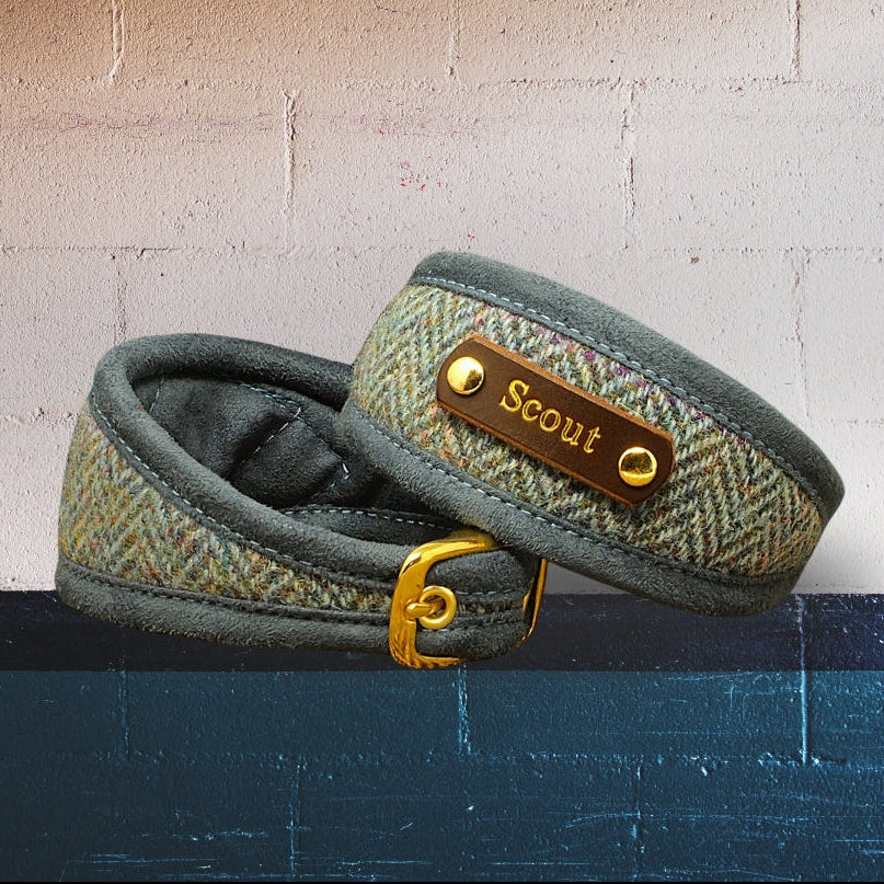 blue herringbone harris tweed custom sighthound collar personalised with dogs name on
