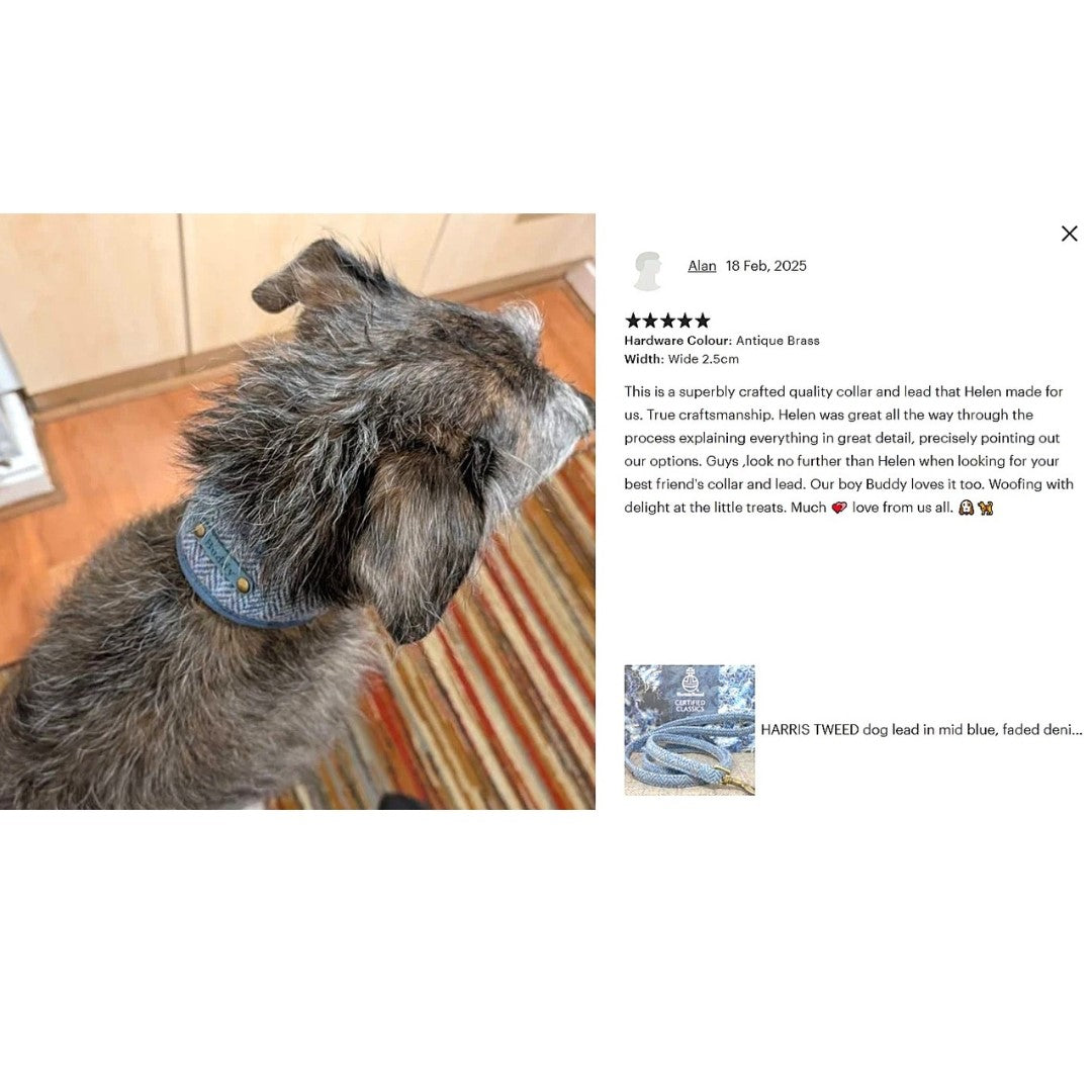 luxury soft padded blue herringbone harris tweed hound collar personalized with dogs name on