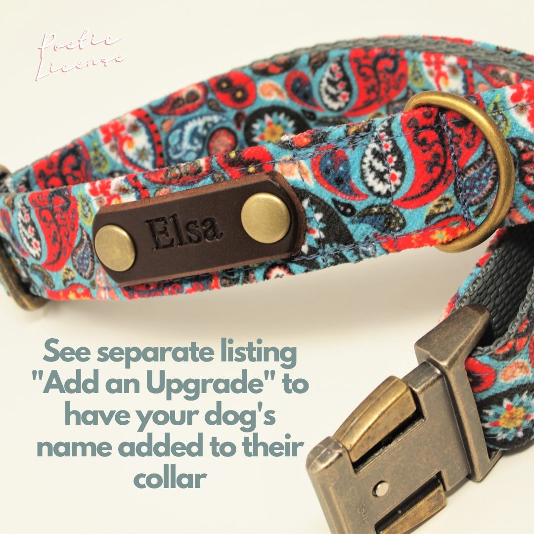 Luxe Chenille Standard Dog Collar in Teal Blue, Green &amp; Red Paisley