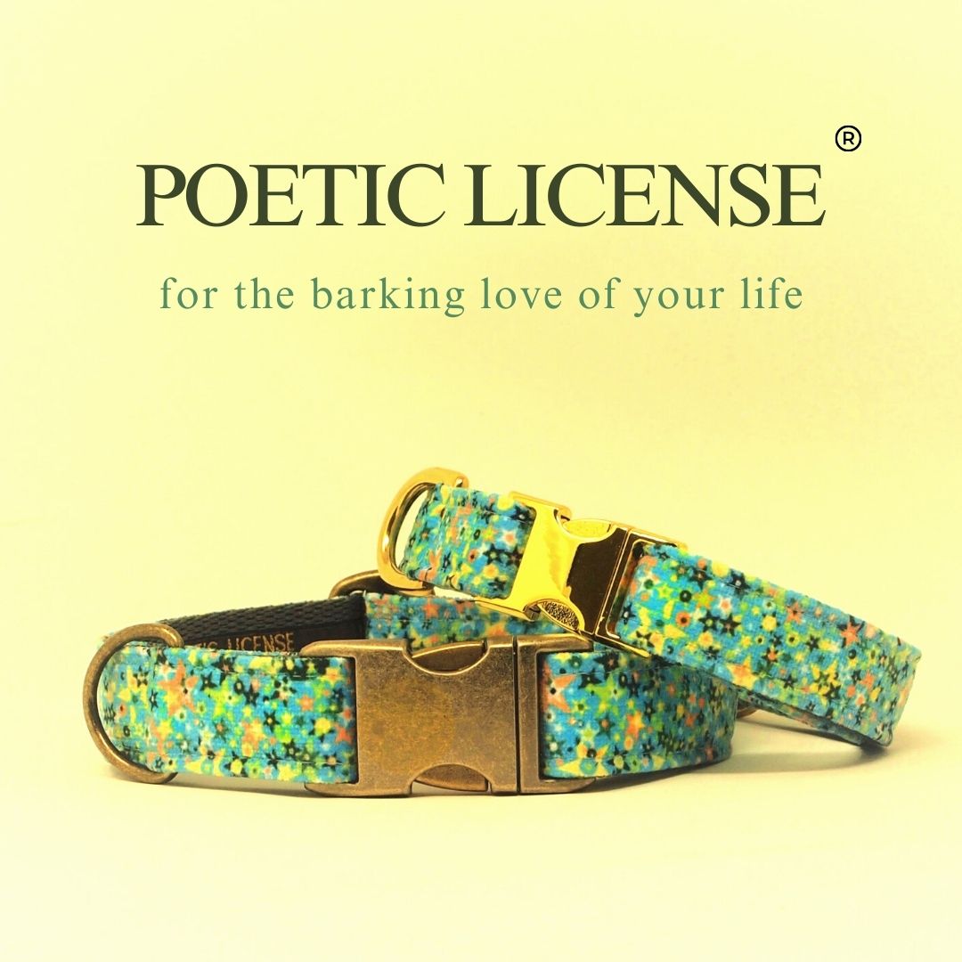 Luxe Chenille Standard Dog Collar in Blue &amp; Green Stars