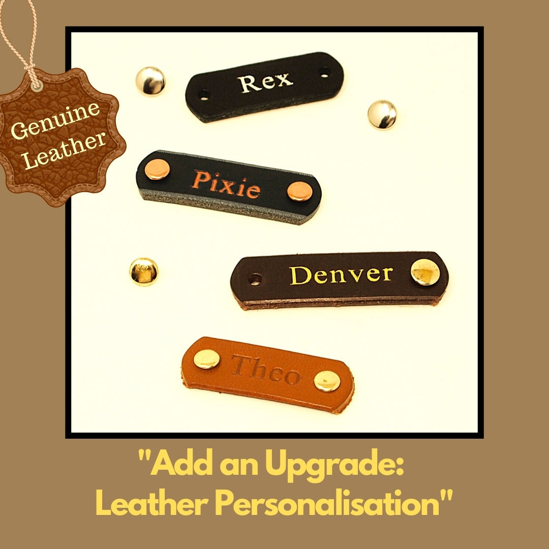 dog name plate for collar, leather with gold foil