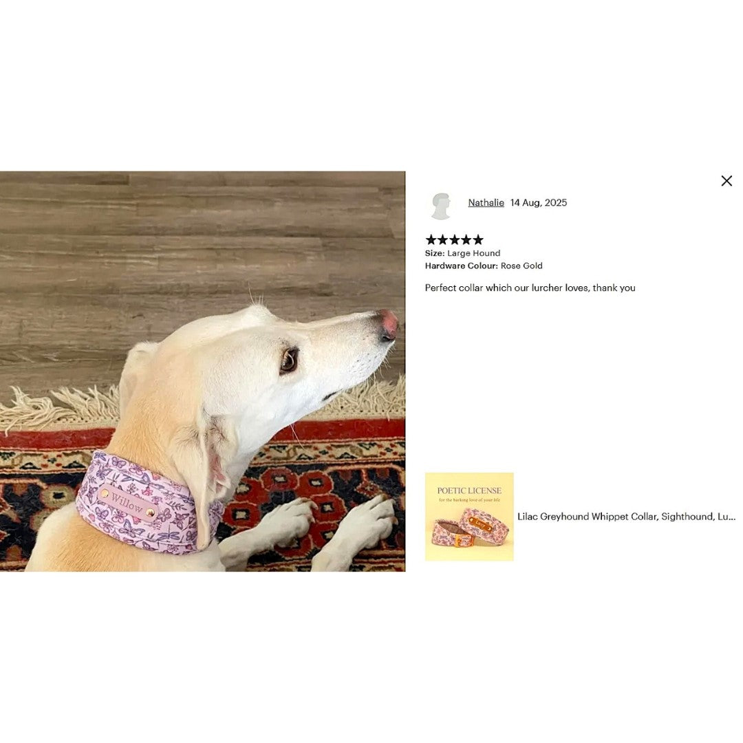 Personalised Hound Collar in Lilac, soft luxury, padded dog collar