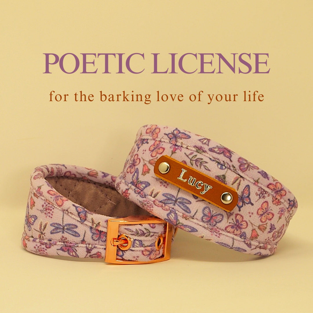 lilac purple personalised dog hound collar with dogs name on, for greyhound whippet saluki lurcher iggy sighthound or slim fit for regular dogs