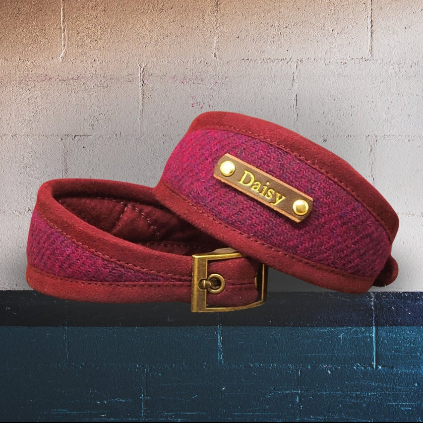 custom purple harris tweed sighthound collar personalized with dogs name on