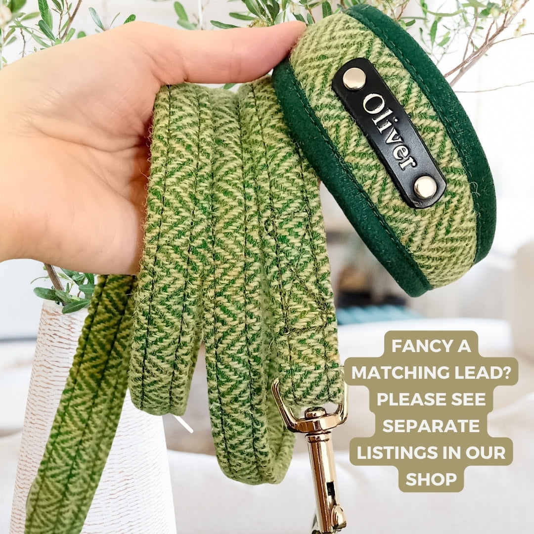 Harris Tweed Mint Green Herringbone Dog Collar, can be personalised with dog&