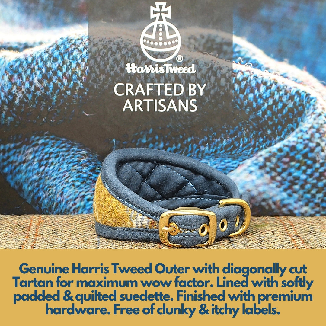 Harris Tweed Mustard &amp; Blue Tartan Greyhound Collar or Slim fit luxury dog collar.