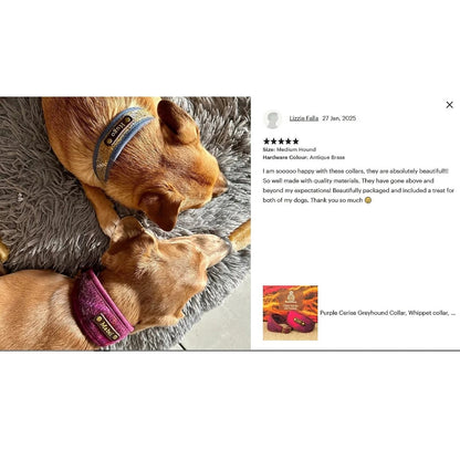 Harris Tweed Mustard &amp; Blue Tartan Greyhound Collar or Slim fit luxury dog collar.