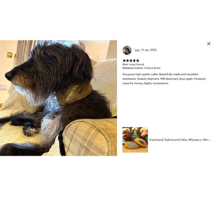 Harris Tweed Mustard &amp; Blue Tartan Greyhound Collar or Slim fit luxury dog collar with Brown Edging and Lining