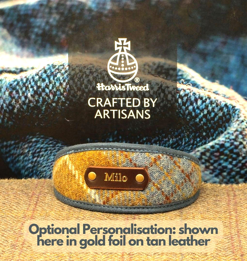 Harris Tweed Mustard &amp; Blue Tartan Greyhound Collar or Slim fit luxury dog collar.