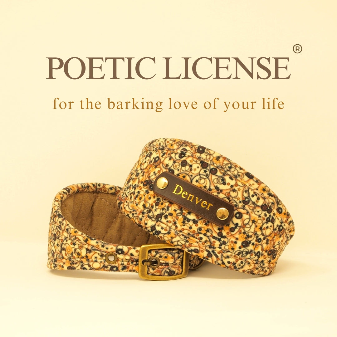 vegan chenille dog collar in mocha and cream moon stars pattern with optional personalisation to add dogs name or phone number