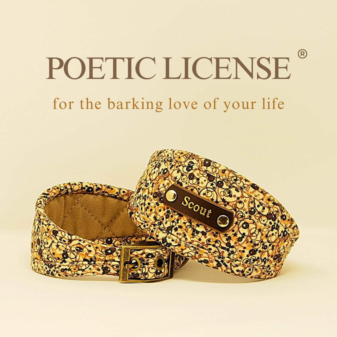 nude brown soft padded custom personalised whippet greyhound sighthound lurcher collar with dogs name on