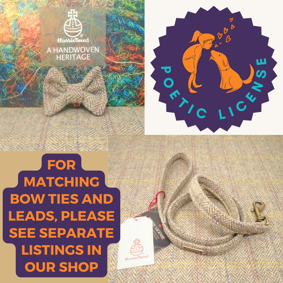 neutral harris tweed dog bow tie and lead 