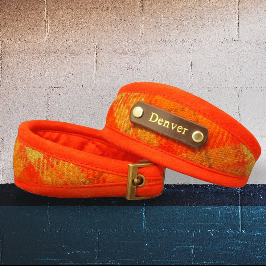 orange and mustard tartan plaid harris tweed dog collar, whippet greyhound sighthound lurcher iggy collar custom personalised with dogs name on 