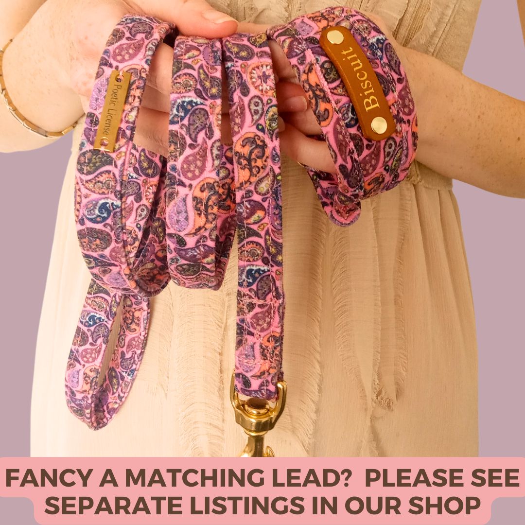 Custom Dog Collar in Pink Paisley, soft luxury, padded dog collar.