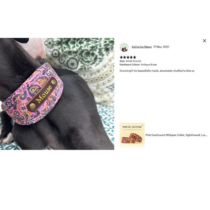 black dog in pink soft padded luxury vegan collar 