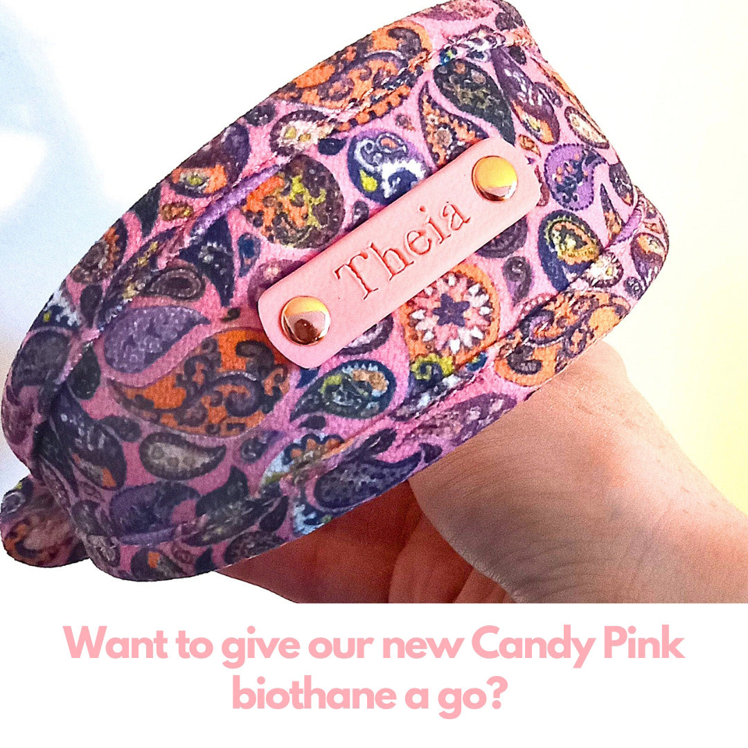 Custom Dog Collar in Pink Paisley, soft luxury, padded dog collar.