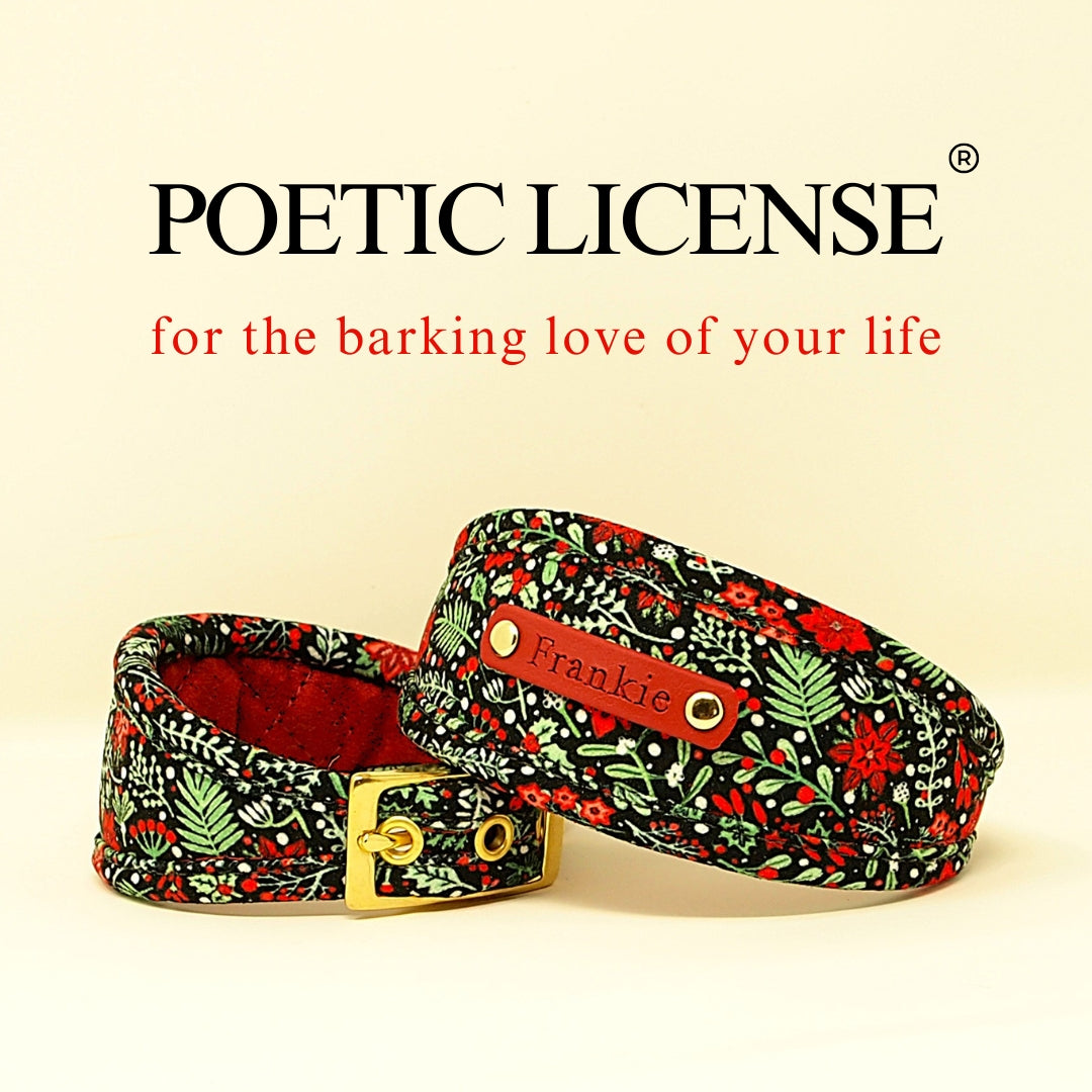 Christmas dog collar with holly, poinsettia, holly leaves and snowball pattern, dog collar for whippets greyhounds sighthounds salukis with personalization option to add dogs name