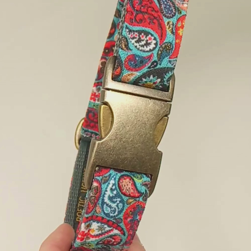 Luxe Chenille Standard Dog Collar in Teal Blue, Green &amp; Red Paisley