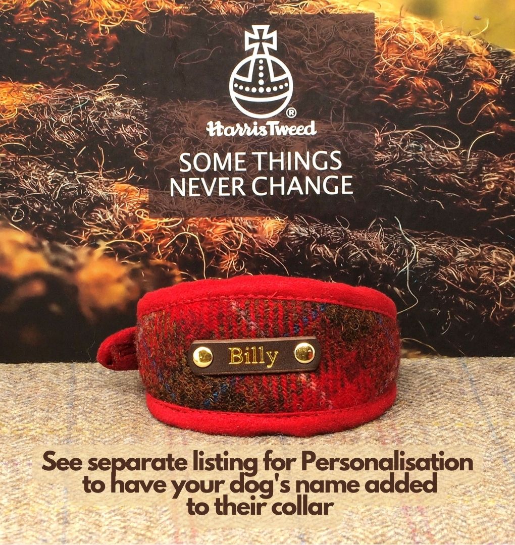 Red &amp; Brown Tartan Dog Collar in Harris Tweed or Greyhound, Whippet collar width or Slim Fit Custom Dog Collar