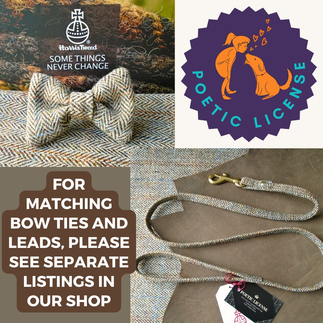 brown harris tweed dog lead and bow tie