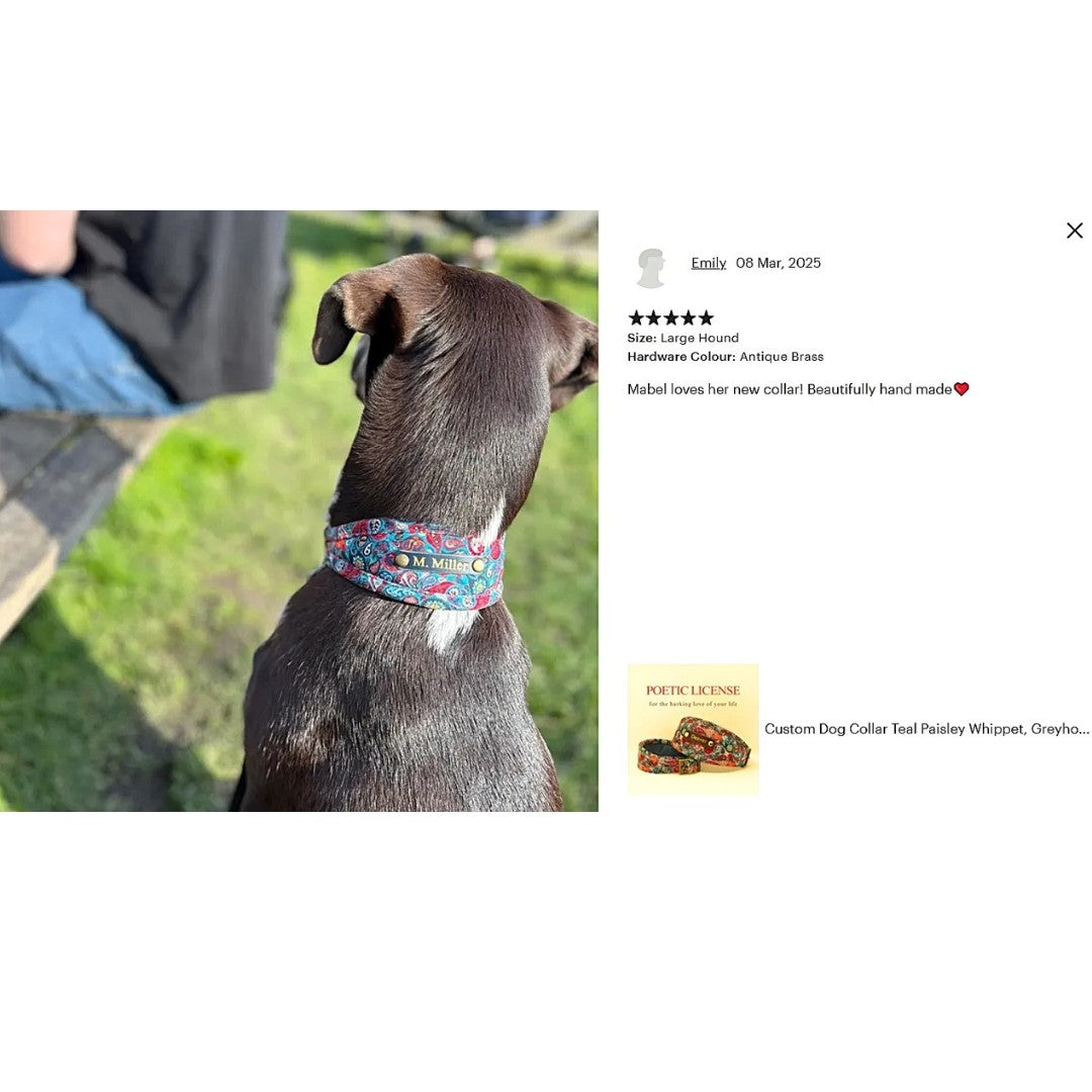 teal blue paisley luxury vegan soft padded hound collar personalised with dogs name on 