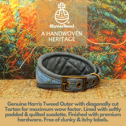 soft padded blue harris tweed sighthound collar for dogs with sensitive necks