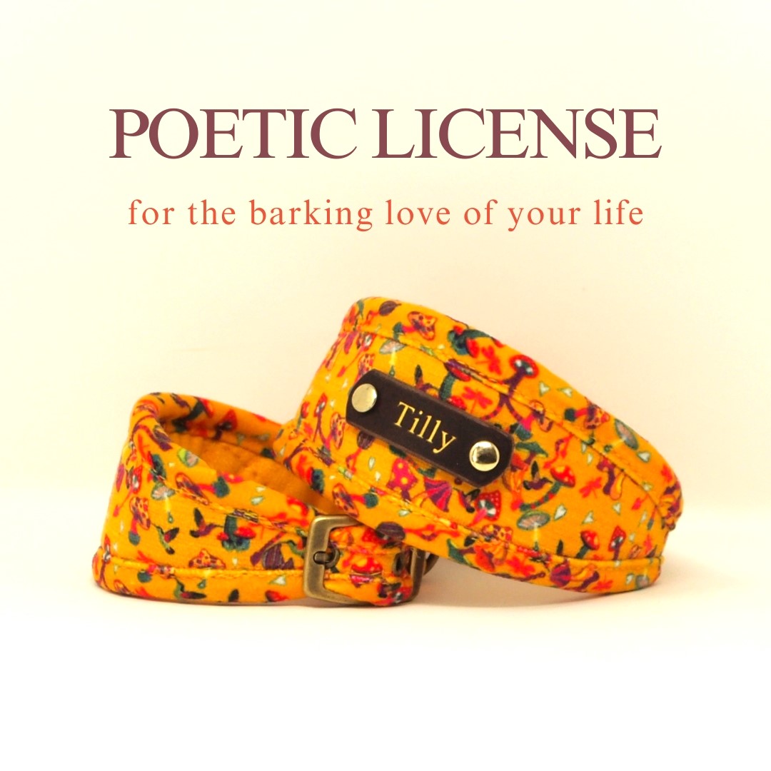 Designer Dog Collar in Yellow Mushrooms with optional name personalisation.