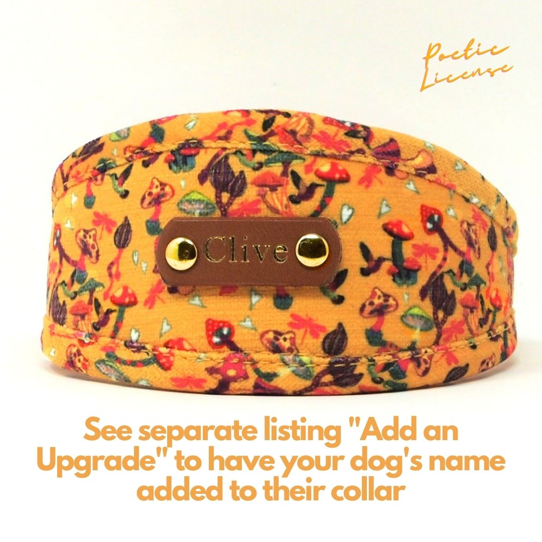 Luxe Chenille Hound Collar in Yellow Mushrooms