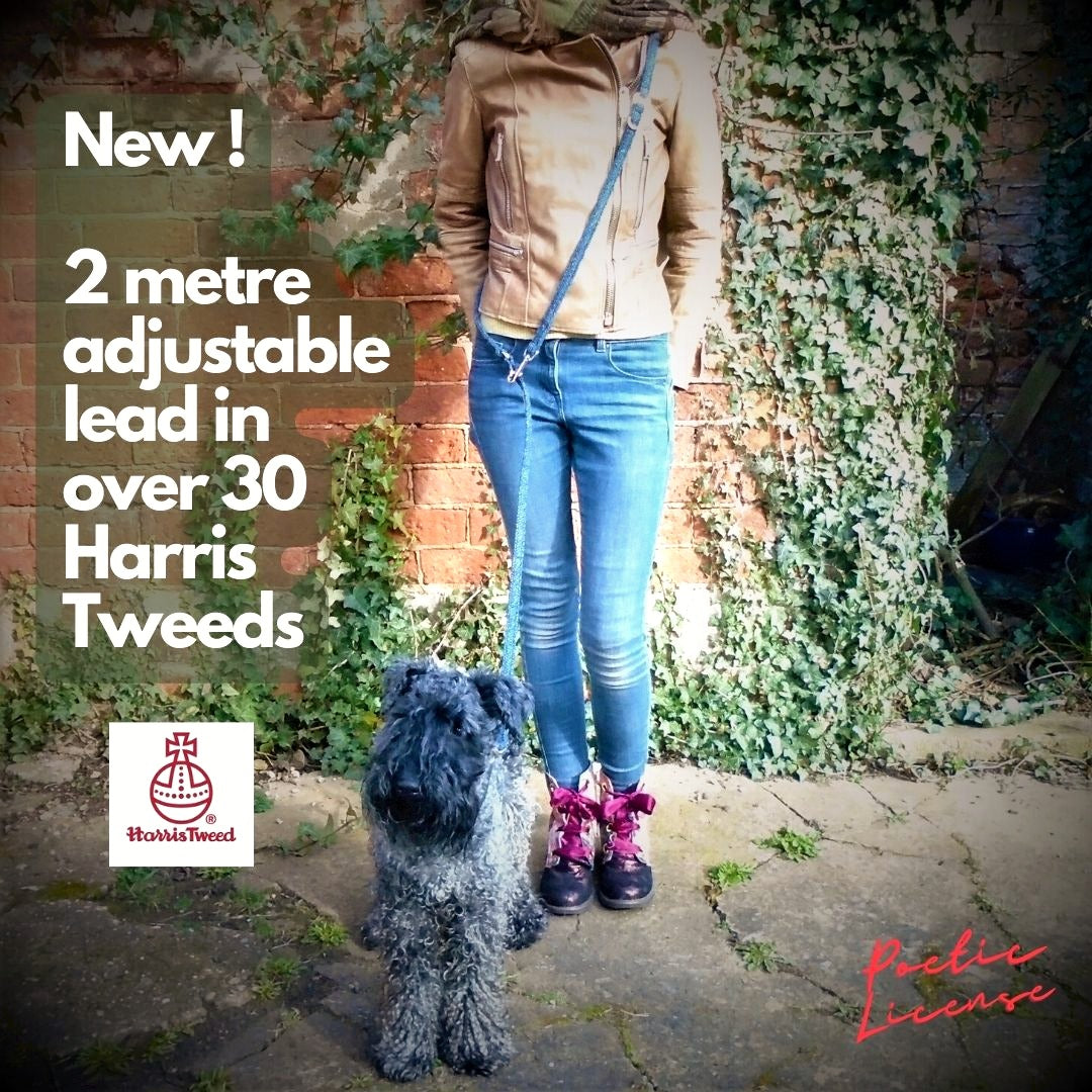 crossbody adjustable harris tweed dog lead, training lead, handsfree lead, extra long dog lead
